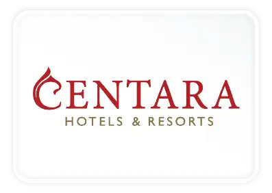 Polished gold-colored stainless steel decorative trims and moldings for modern interior and exterior design applications. High-quality stainless steel finish for elegant building accents.